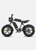ENGWE M20 Vélo Électrique Fat Bike 250W 48V13Ah Double Suspension