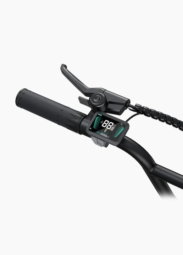 ENGWE L20 Boost Vélo Électrique Fat Bike 250W 48V13Ah 126km Boost 75Nm