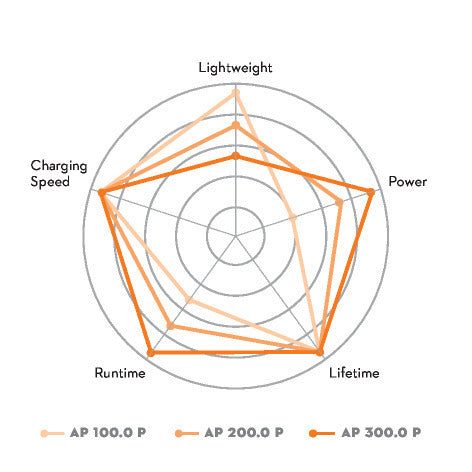STIHL ALLPRO AP 300.0 P Batterie