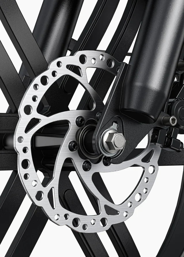 ENGWE L20 Boost Vélo Électrique Fat Bike 250W 48V13Ah 126km Boost 75Nm
