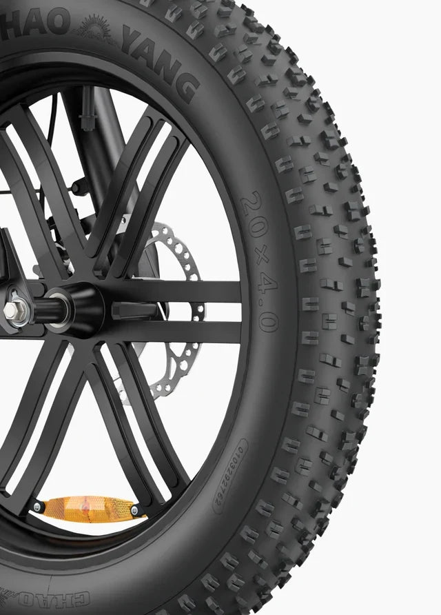 ENGWE L20 Boost Vélo Électrique Fat Bike 250W 48V13Ah 126km Boost 75Nm