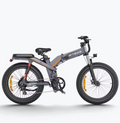 ENGWE X24 Vélo Électrique Fat Bike 1000W 48V29.2Ah Triple Suspension