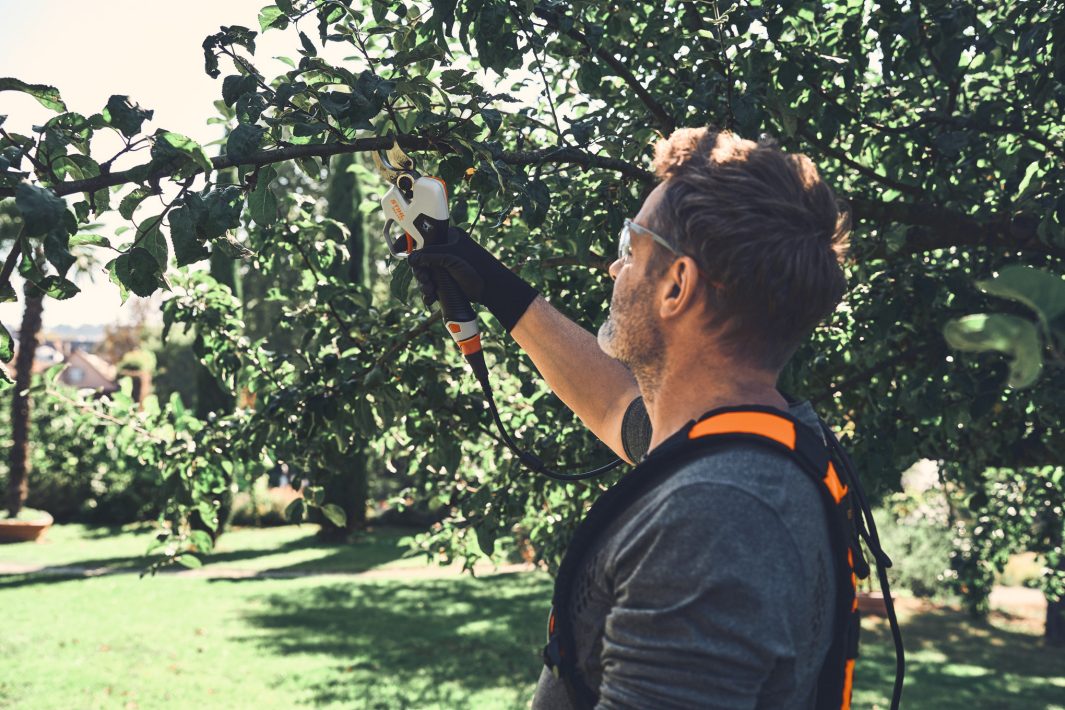 STIHL ASA 140 Sécateur à batterie – outil seul