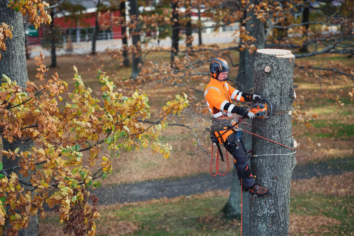 Husqvarna 550i XP® G Tronçonneuse à batterie - 38,1 cm
