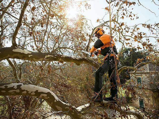 STIHL MS 151 TC-E Tronçonneuse thermique - 30 cm
